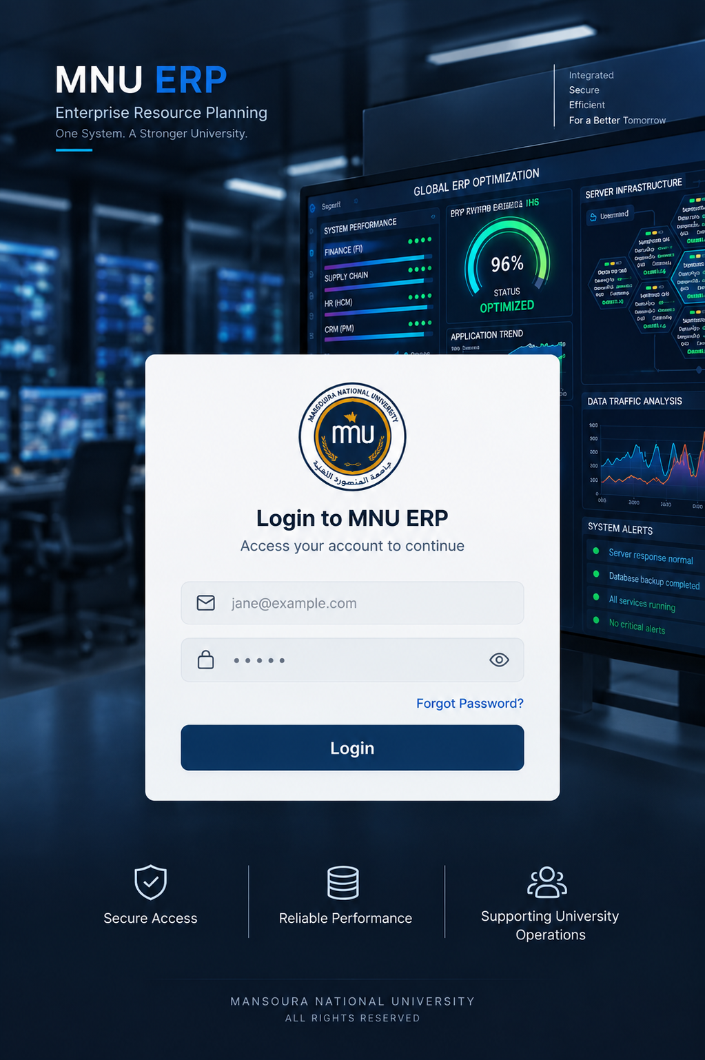 ERP System Support